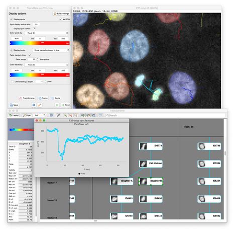 ImageJ .
